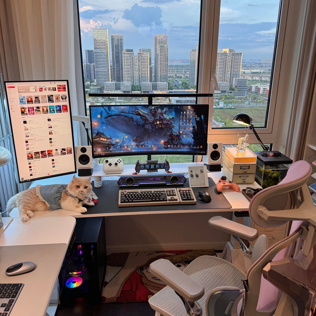 Winter Comfort in My Window-Side Workspace