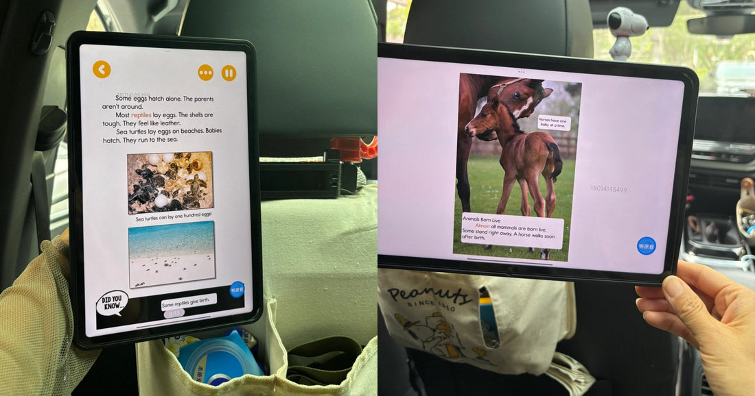 Car Backseat Tablet Holder: The Magnetic iPad Stand That Finally Makes Long Rides Easy